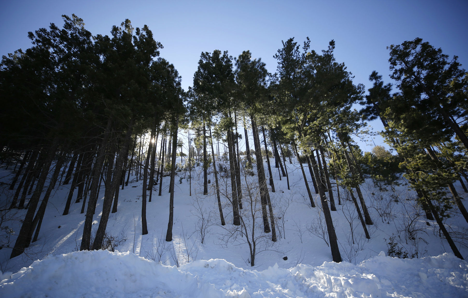 Mt. Lemmon Snow